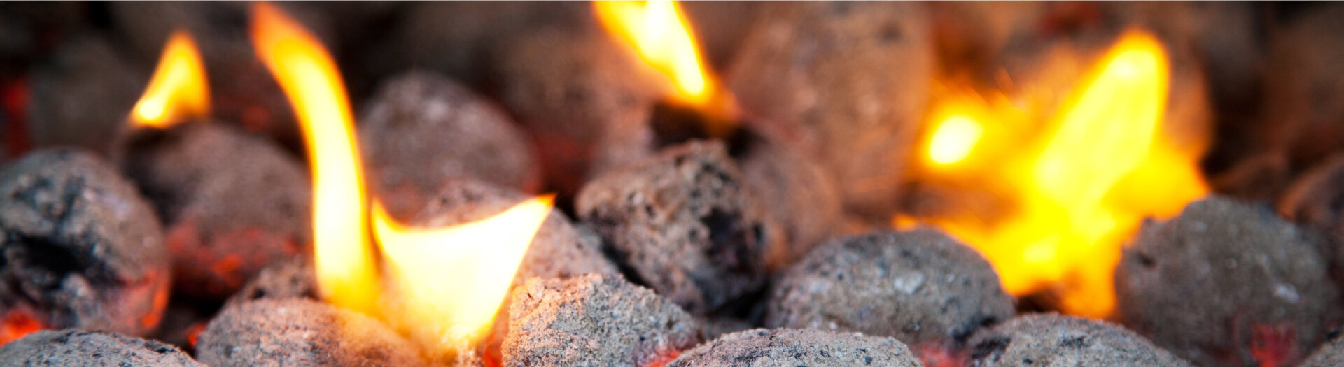 Blegny-Mine - Photo 3