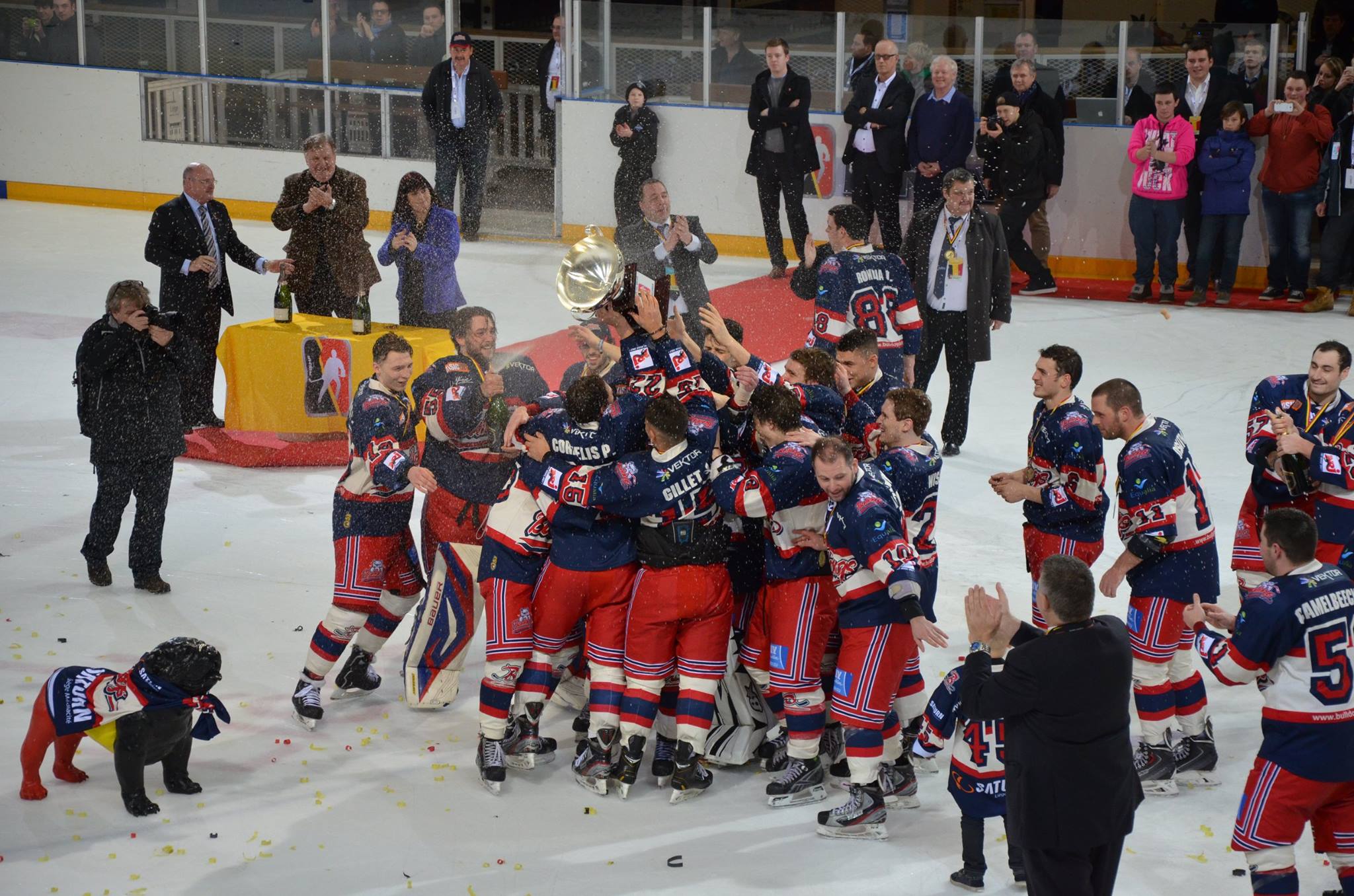 Bulldogs Liège Ice Hockey Club