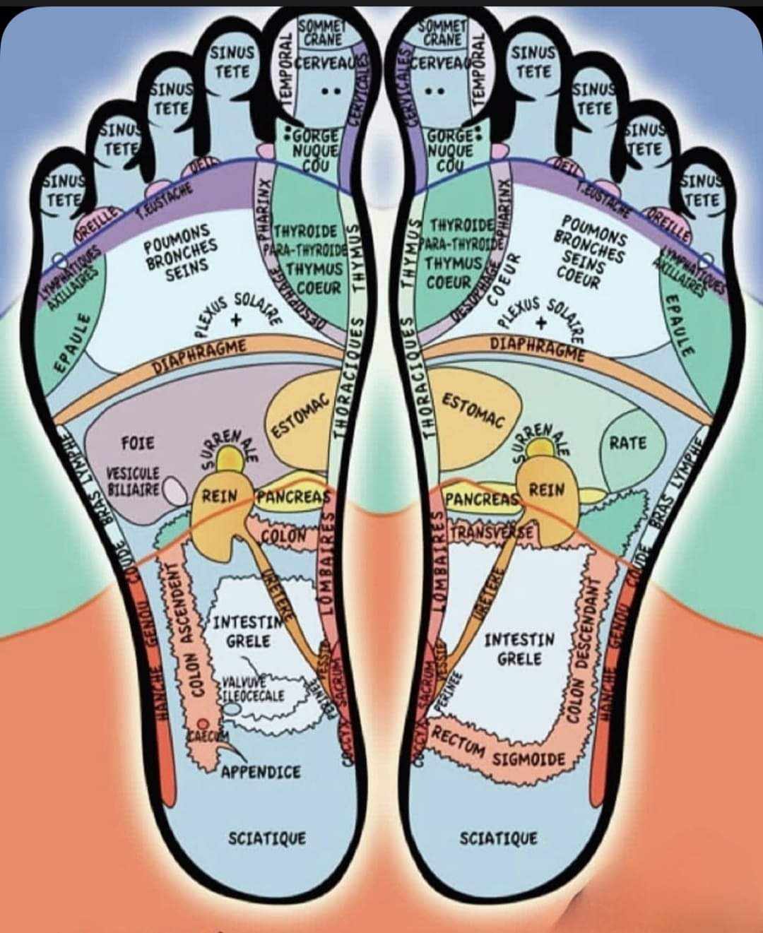 Mise aux Points - Réflexologie-Massages